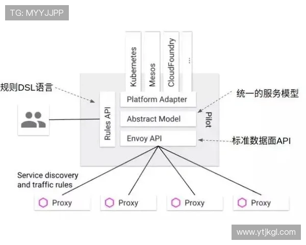 成都羽毛球队的控制策略与发展趋势深度解析