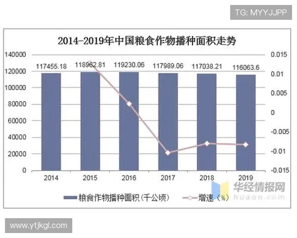 杭州排球队在联合会杯中的实力展现与未来发展潜力分析