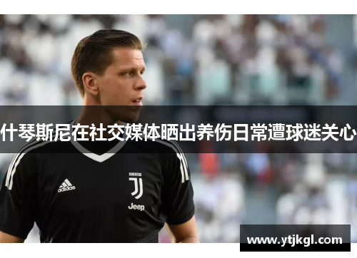 什琴斯尼在社交媒体晒出养伤日常遭球迷关心