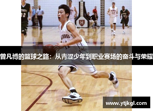 曾凡博的篮球之路：从青涩少年到职业赛场的奋斗与荣耀