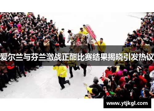 爱尔兰与芬兰激战正酣比赛结果揭晓引发热议